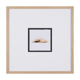 Sundown II by Mercana Studio a Framed Art Print from Mercana - Luna Furniture