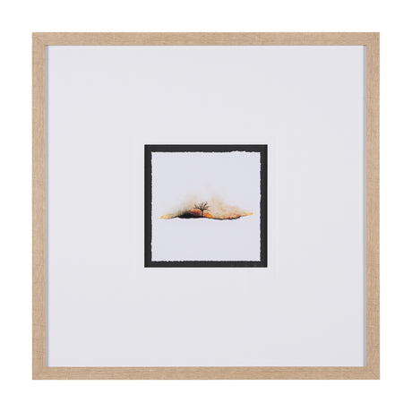 Sundown II by Mercana Studio a Framed Art Print from Mercana - Luna Furniture