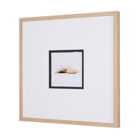 Sundown II by Mercana Studio a Framed Art Print from Mercana - Luna Furniture