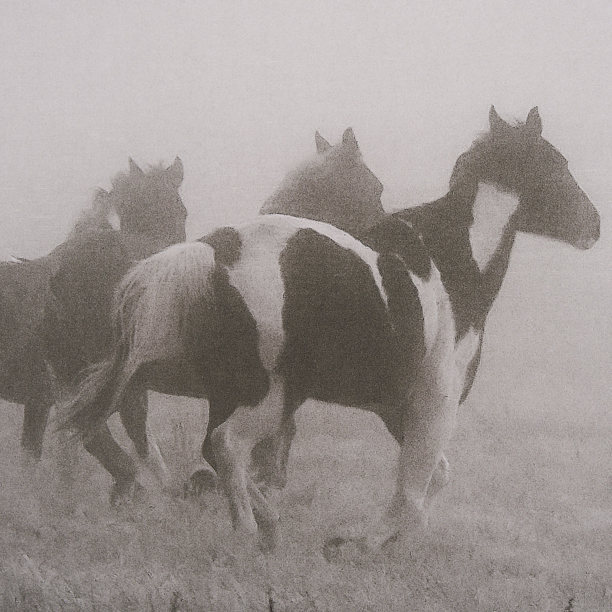 Painted Horses on the Run by Debra Van Swearingen a Hand Embellished Framed Photo Art Print Matted u from Mercana - Luna Furniture