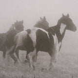 Painted Horses on the Run by Debra Van Swearingen a Hand Embellished Framed Photo Art Print Matted u from Mercana - Luna Furniture