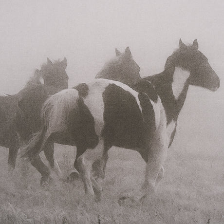 Painted Horses on the Run by Debra Van Swearingen a Hand Embellished Framed Photo Art Print Matted u from Mercana - Luna Furniture