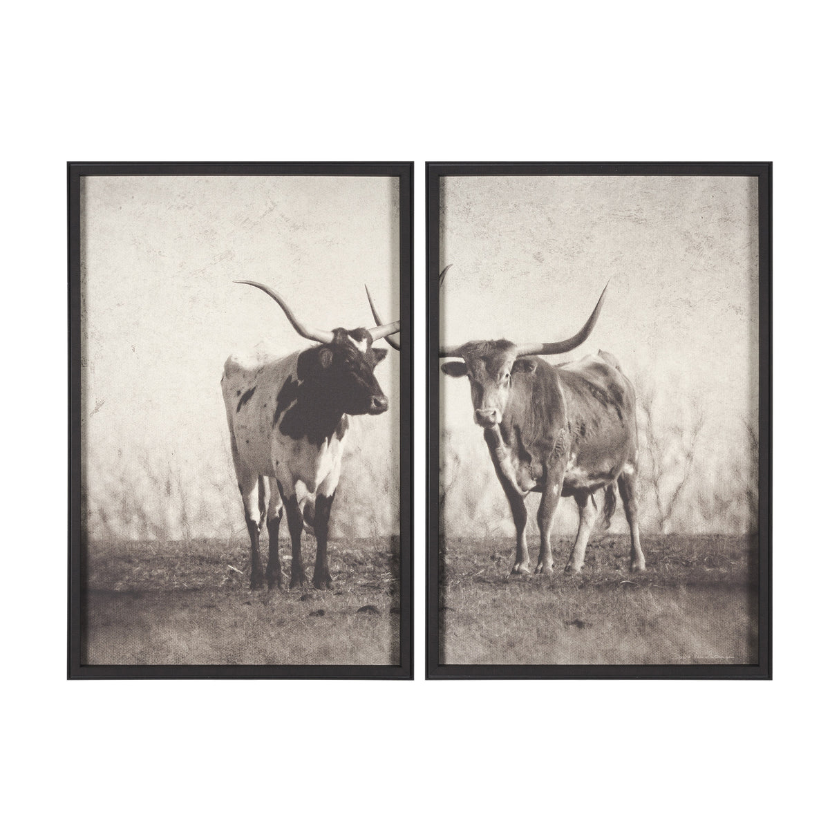 Texas Longhorns (Set of 2) by Debra Van Swearingen a Hand Embellished Framed Art Photograph Print from Mercana - Luna Furniture