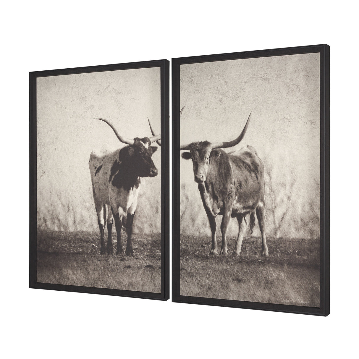 Texas Longhorns (Set of 2) by Debra Van Swearingen a Hand Embellished Framed Art Photograph Print from Mercana - Luna Furniture