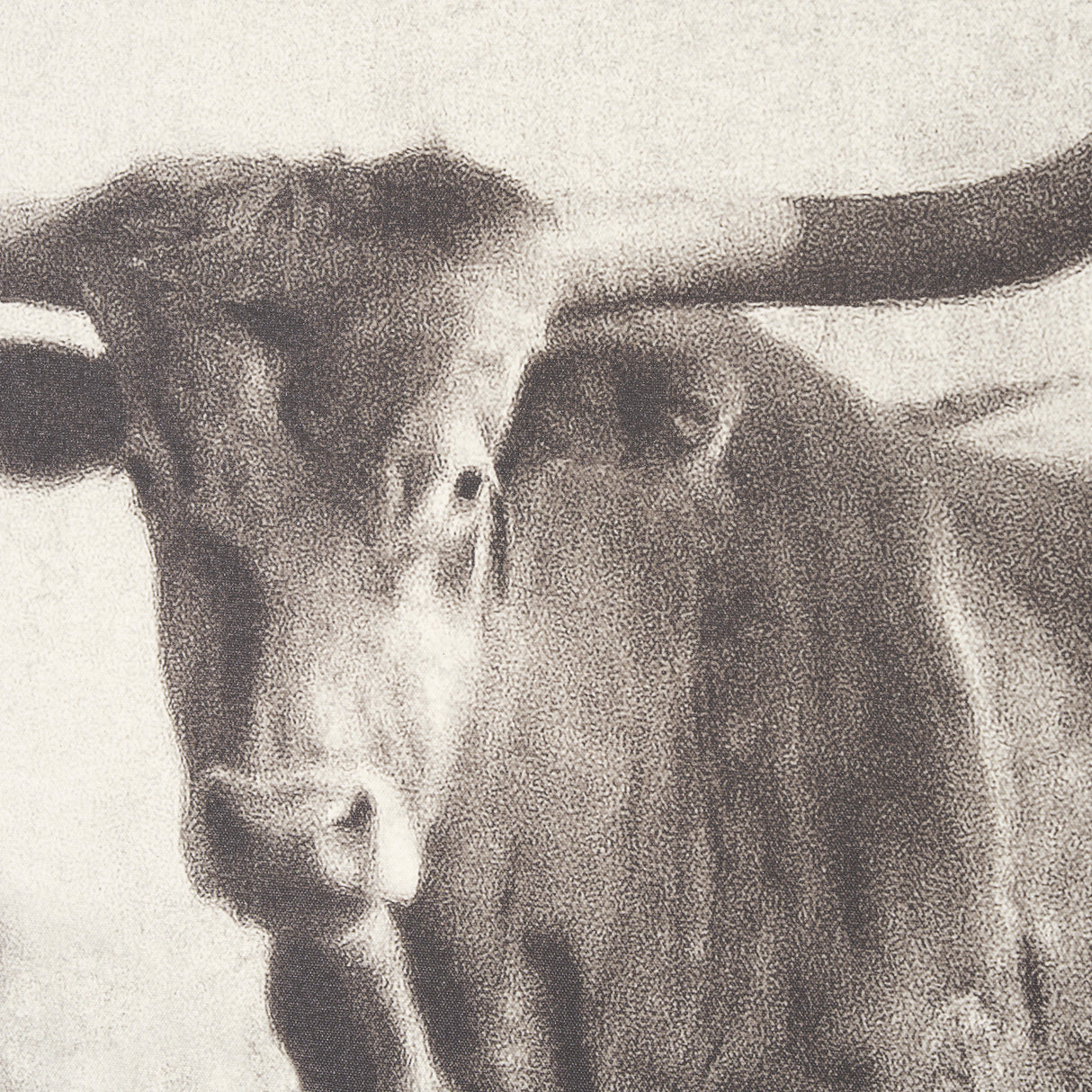 Texas Longhorns (Set of 2) by Debra Van Swearingen a Hand Embellished Framed Art Photograph Print from Mercana - Luna Furniture