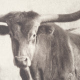 Texas Longhorns (Set of 2) by Debra Van Swearingen a Hand Embellished Framed Art Photograph Print from Mercana - Luna Furniture