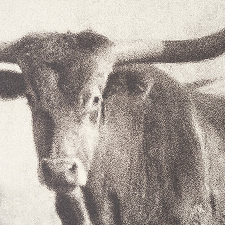 Texas Longhorns (Set of 2) by Debra Van Swearingen a Hand Embellished Framed Art Photograph Print from Mercana - Luna Furniture
