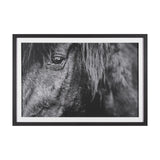 Mustang by Nathan Larson a Hand Embellished Framed Photo Art Print Matted under Glass from Mercana - Luna Furniture