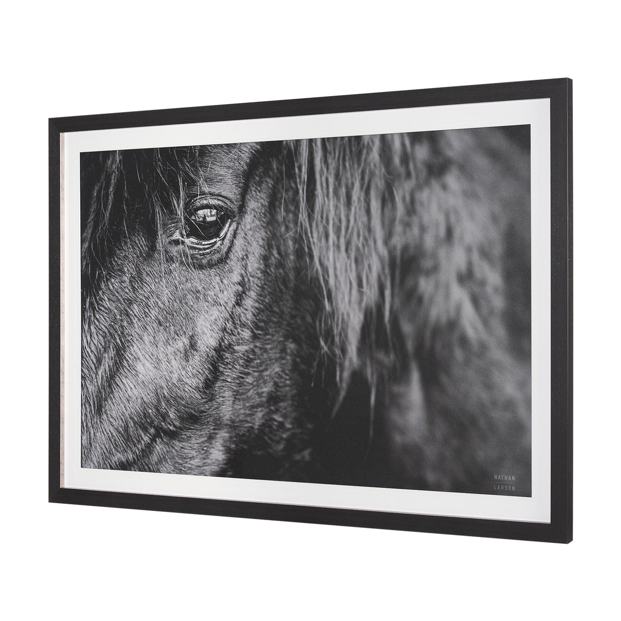 Mustang by Nathan Larson a Hand Embellished Framed Photo Art Print Matted under Glass from Mercana - Luna Furniture