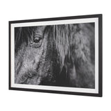 Mustang by Nathan Larson a Hand Embellished Framed Photo Art Print Matted under Glass from Mercana - Luna Furniture