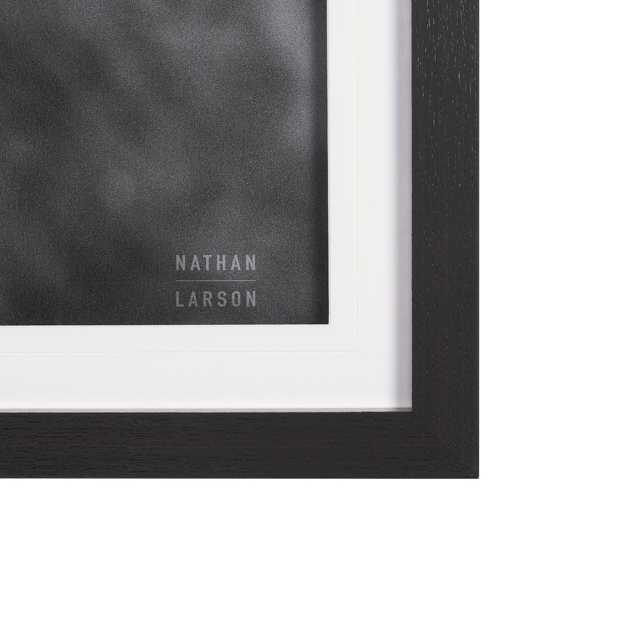 Mustang by Nathan Larson a Hand Embellished Framed Photo Art Print Matted under Glass from Mercana - Luna Furniture