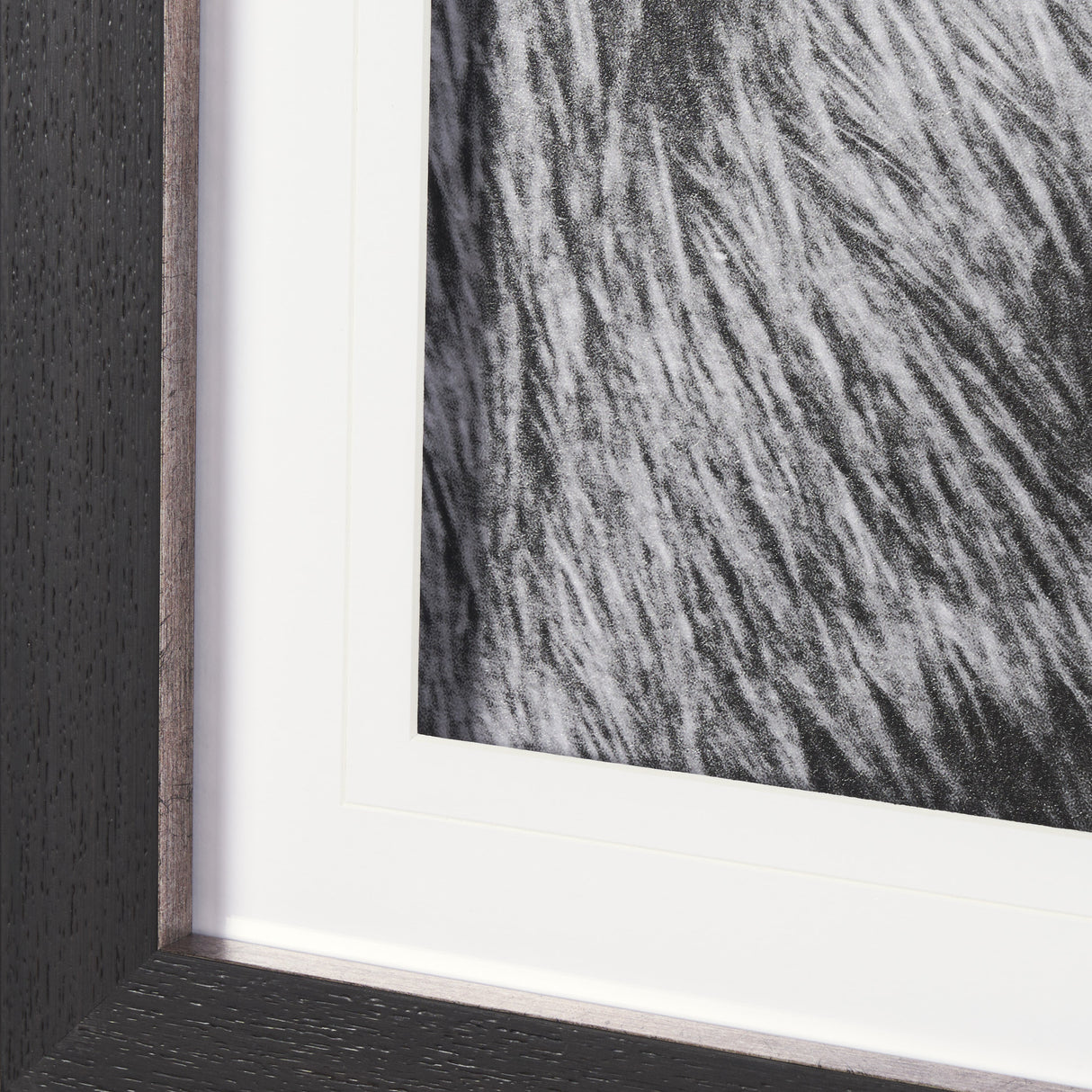 Mustang by Nathan Larson a Hand Embellished Framed Photo Art Print Matted under Glass from Mercana - Luna Furniture