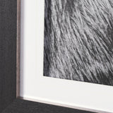 Mustang by Nathan Larson a Hand Embellished Framed Photo Art Print Matted under Glass from Mercana - Luna Furniture