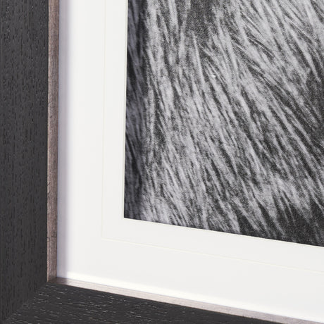 Mustang by Nathan Larson a Hand Embellished Framed Photo Art Print Matted under Glass from Mercana - Luna Furniture