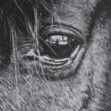 Mustang by Nathan Larson a Hand Embellished Framed Photo Art Print Matted under Glass from Mercana - Luna Furniture
