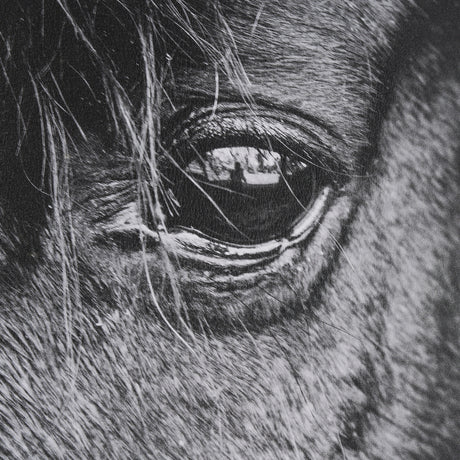 Mustang by Nathan Larson a Hand Embellished Framed Photo Art Print Matted under Glass from Mercana - Luna Furniture