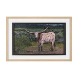 Longhorn 1 by Gary Blatter a Hand Embellished Framed Photo Art Print Matted under Glass from Mercana - Luna Furniture