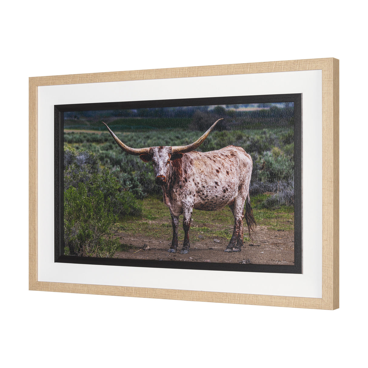 Longhorn 1 by Gary Blatter a Hand Embellished Framed Photo Art Print Matted under Glass from Mercana - Luna Furniture