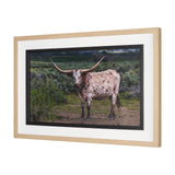 Longhorn 1 by Gary Blatter a Hand Embellished Framed Photo Art Print Matted under Glass from Mercana - Luna Furniture