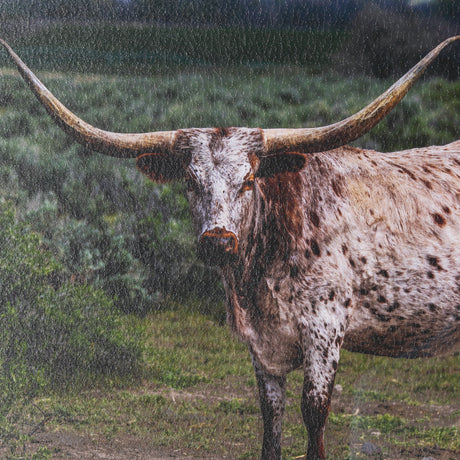 Longhorn 1 by Gary Blatter a Hand Embellished Framed Photo Art Print Matted under Glass from Mercana - Luna Furniture