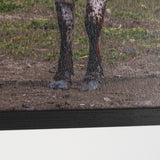Longhorn 1 by Gary Blatter a Hand Embellished Framed Photo Art Print Matted under Glass from Mercana - Luna Furniture