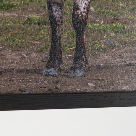 Longhorn 1 by Gary Blatter a Hand Embellished Framed Photo Art Print Matted under Glass from Mercana - Luna Furniture