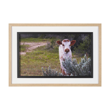 Longhorn 7 by Gary Blatter a Hand Embellished Framed Photo Art Print Matted under Glass from Mercana - Luna Furniture