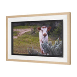 Longhorn 7 by Gary Blatter a Hand Embellished Framed Photo Art Print Matted under Glass from Mercana - Luna Furniture