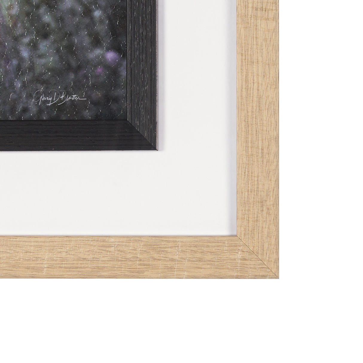 Longhorn 7 by Gary Blatter a Hand Embellished Framed Photo Art Print Matted under Glass from Mercana - Luna Furniture