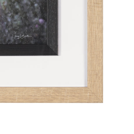 Longhorn 7 by Gary Blatter a Hand Embellished Framed Photo Art Print Matted under Glass from Mercana - Luna Furniture