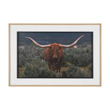 Longhorn 5 by Gary Blatter a Hand Embellished Framed Photo Art Print Matted under Glass from Mercana - Luna Furniture