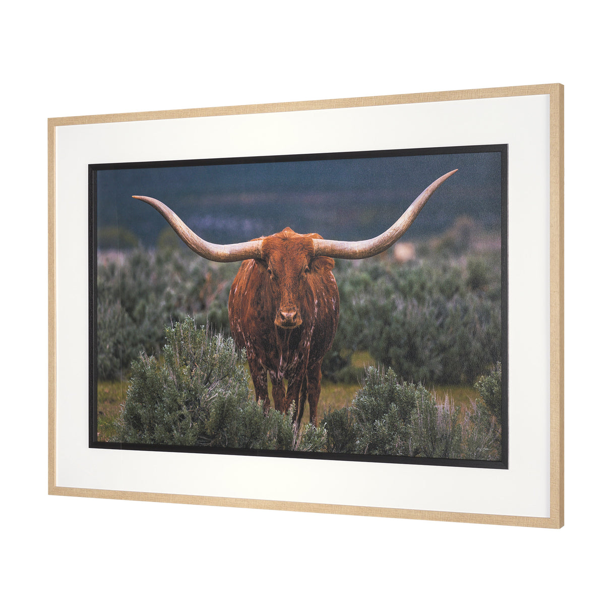 Longhorn 5 by Gary Blatter a Hand Embellished Framed Photo Art Print Matted under Glass from Mercana - Luna Furniture