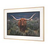 Longhorn 5 by Gary Blatter a Hand Embellished Framed Photo Art Print Matted under Glass from Mercana - Luna Furniture