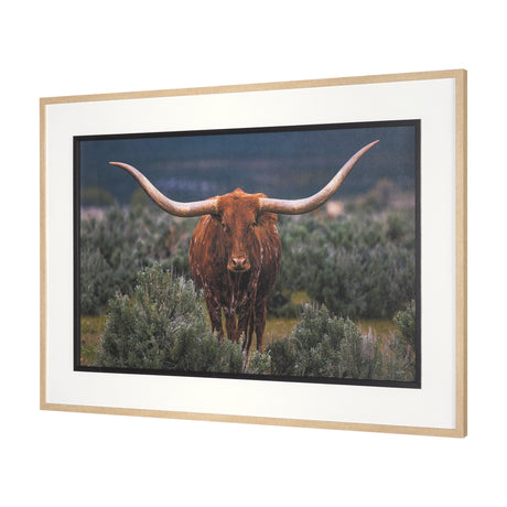 Longhorn 5 by Gary Blatter a Hand Embellished Framed Photo Art Print Matted under Glass from Mercana - Luna Furniture