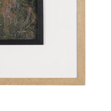 Longhorn 5 by Gary Blatter a Hand Embellished Framed Photo Art Print Matted under Glass from Mercana - Luna Furniture