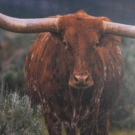 Longhorn 5 by Gary Blatter a Hand Embellished Framed Photo Art Print Matted under Glass from Mercana - Luna Furniture