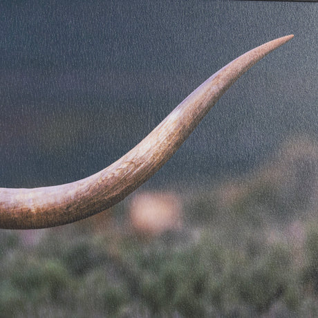 Longhorn 5 by Gary Blatter a Hand Embellished Framed Photo Art Print Matted under Glass from Mercana - Luna Furniture