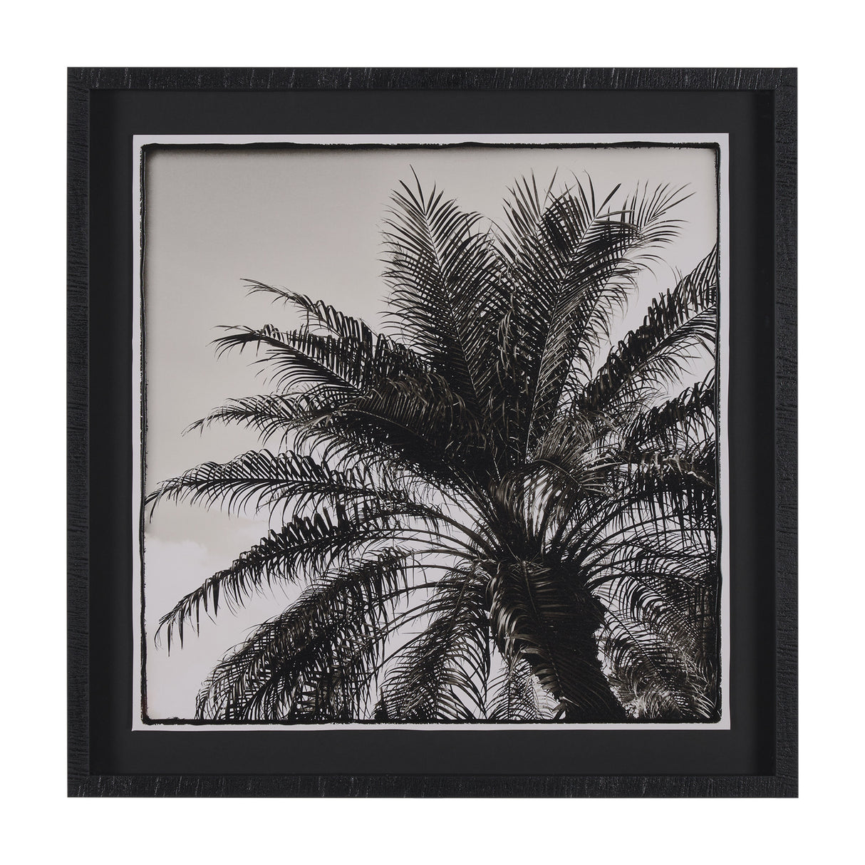 Palm Tree Sepia I by Debra Van Swearingen a Hand Embellished Framed Photo Art Print Matted under Gla from Mercana - Luna Furniture