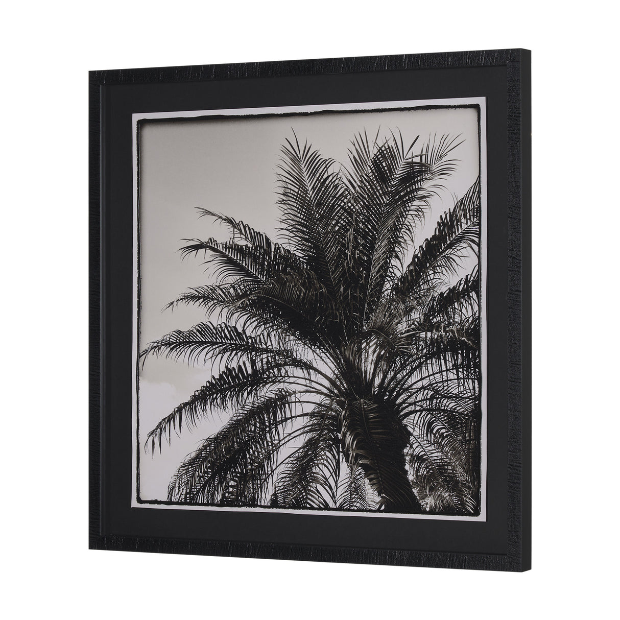 Palm Tree Sepia I by Debra Van Swearingen a Hand Embellished Framed Photo Art Print Matted under Gla from Mercana - Luna Furniture
