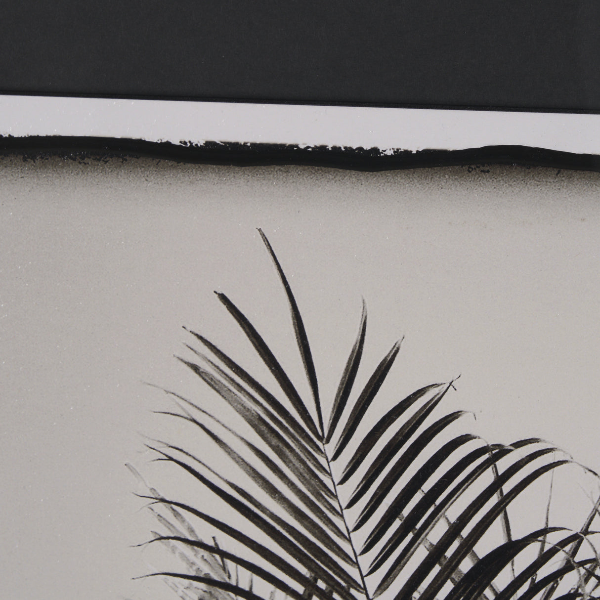 Palm Tree Sepia I by Debra Van Swearingen a Hand Embellished Framed Photo Art Print Matted under Gla from Mercana - Luna Furniture