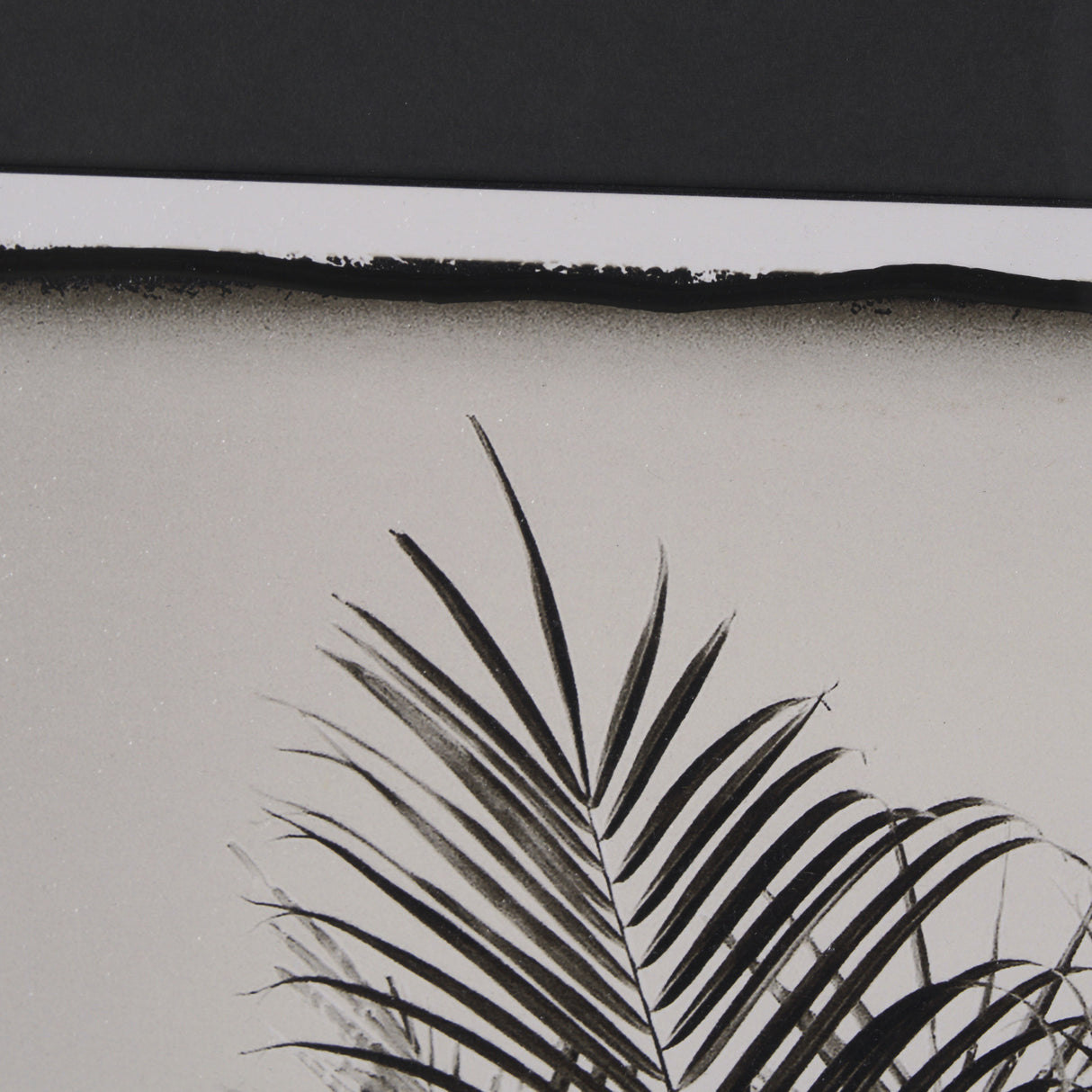 Palm Tree Sepia II by Debra Van Swearingen a Hand Embellished Framed Photo Art Print Matted under G from Mercana - Luna Furniture
