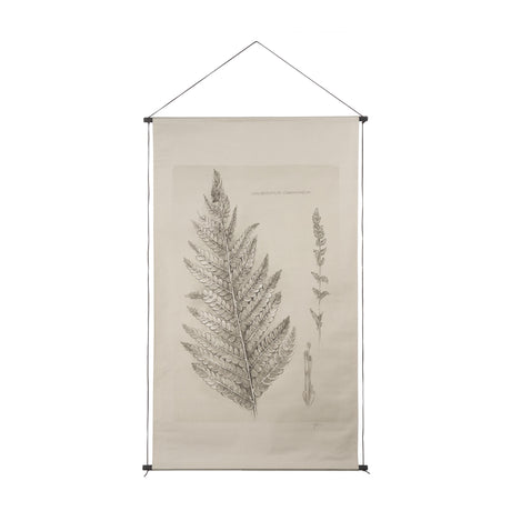Fern Study I (Osmundastrum Cinnamomeum) from Mercana - Luna Furniture