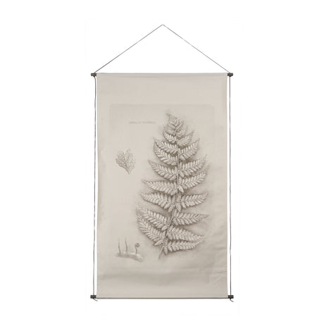 Fern Study II (Davallia Fejeensis) by Mercana Studio a Hand Embellished Framed Art Print from Mercana - Luna Furniture