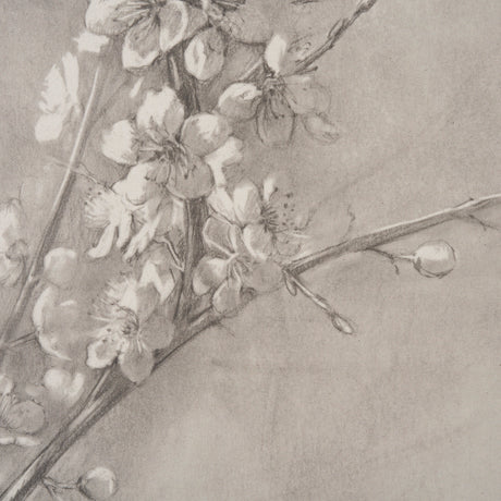 Cherry Blossom Sketch I by Mercana Studio a Hand Embellished Framed Art Print from Mercana - Luna Furniture