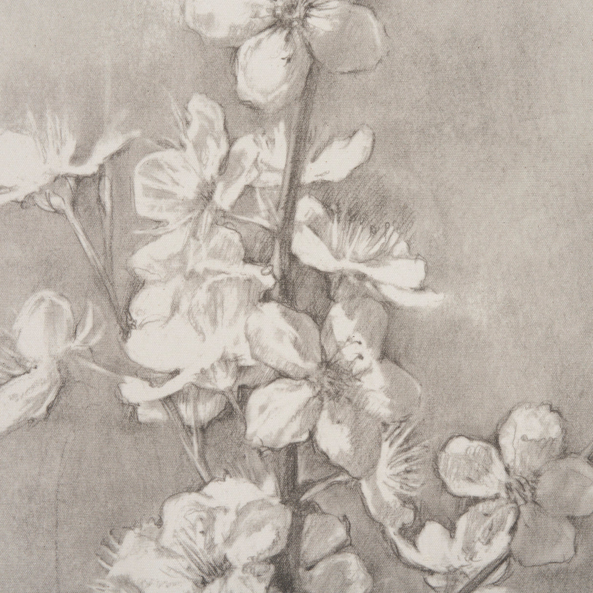 Cherry Blossom Sketch I by Mercana Studio a Hand Embellished Framed Art Print from Mercana - Luna Furniture
