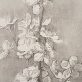 Cherry Blossom Sketch I by Mercana Studio a Hand Embellished Framed Art Print from Mercana - Luna Furniture