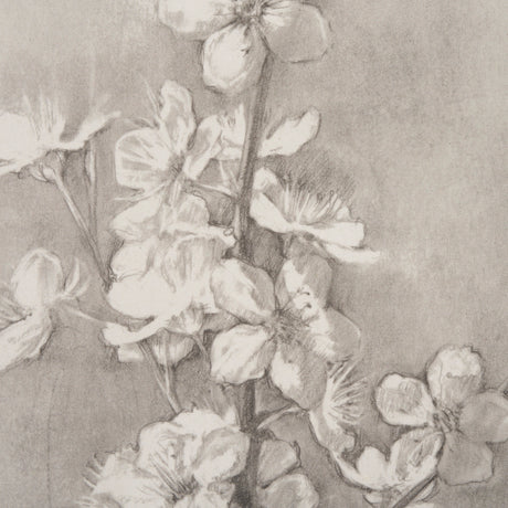 Cherry Blossom Sketch I by Mercana Studio a Hand Embellished Framed Art Print from Mercana - Luna Furniture