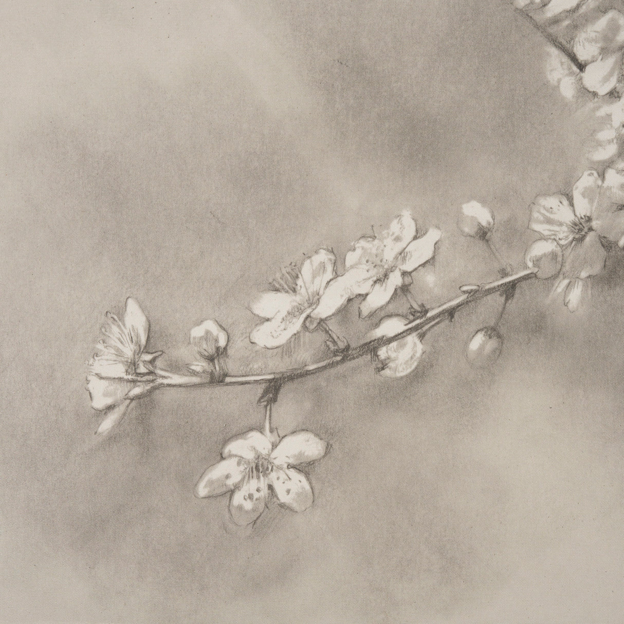 Cherry Blossom Sketch II by Mercana Studio a Hand Embellished Framed Art Print from Mercana - Luna Furniture