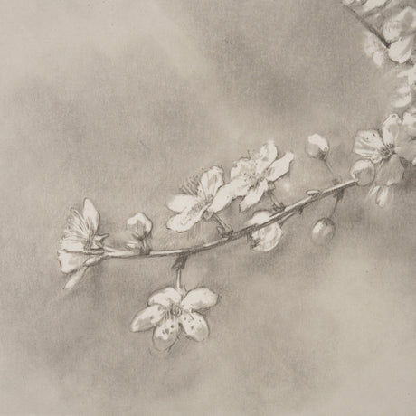 Cherry Blossom Sketch II by Mercana Studio a Hand Embellished Framed Art Print from Mercana - Luna Furniture