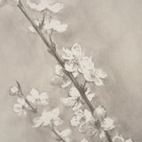 Cherry Blossom Sketch II by Mercana Studio a Hand Embellished Framed Art Print from Mercana - Luna Furniture